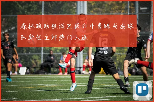 森林狼助教诺里获公牛青睐或成球队新任主帅热门人选
